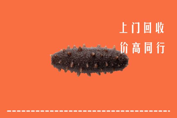 高价求购：城区回收海参