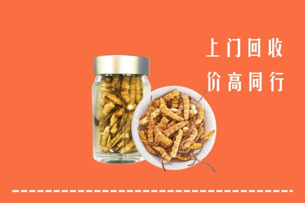 城区回收冬虫夏草