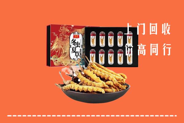 城区回收虫草